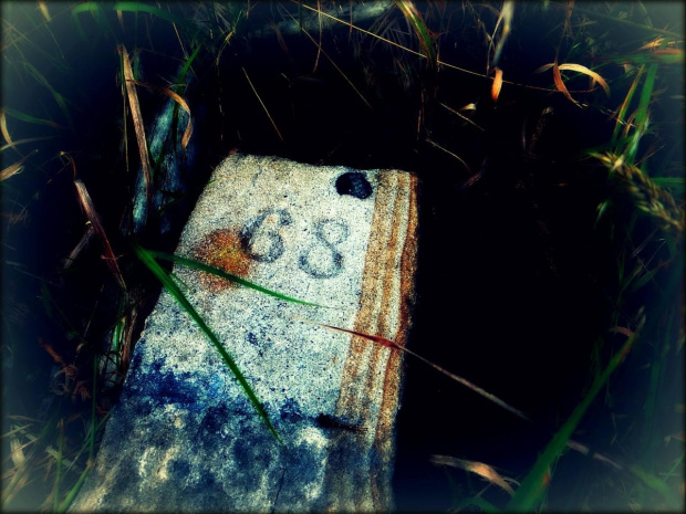 Kamień graniczny nr 68 #DolnyŚląsk #geodezja #góry #GórySowie #KamienieGraniczne #KamieńGraniczny #SłupekGraniczny #SłupkiGraniczne #Sudety