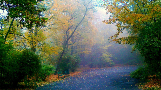 Jesienny poranek w parku 1