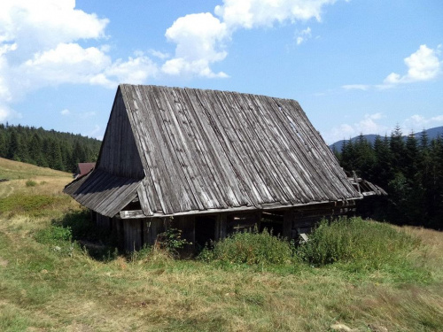 Szałas na polanie Podskały #góry #beskidy #gorce #podskały #adamówka #GorcTroszacki