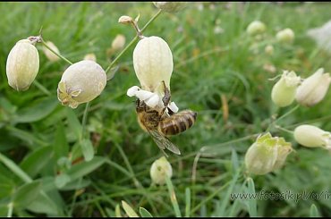 #MassinoVisconti #SanSalvador #Sanktuarium #Włochy