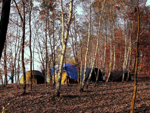 Jesienny obóz wędkarski.