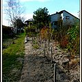 2013 #ogród