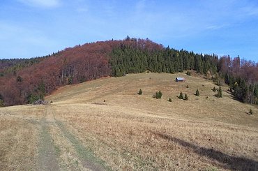 Polana Przechyba #góry #beskidy #gorce #bieniowe #gorc #przysłop