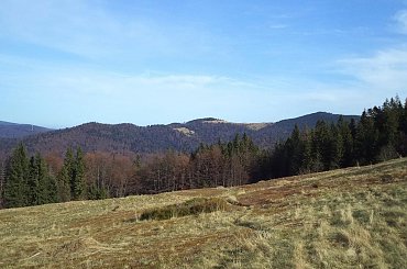 Gorc z polany Bieniowe #góry #beskidy #gorce #bieniowe #gorc #przysłop