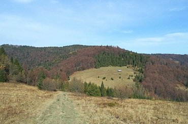 Polana Przechyba od Przechyby #góry #beskidy #gorce #bieniowe #gorc #przysłop