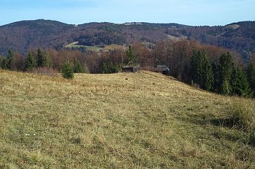 Szałasy pod Przechybą #góry #beskidy #gorce #bieniowe #gorc #przysłop