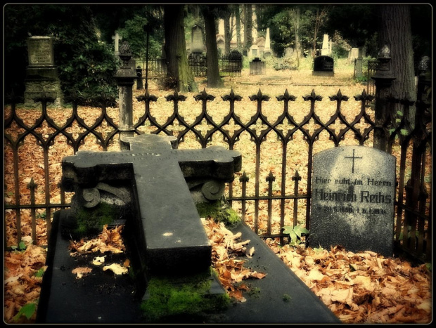 Jeden z nagrobków na zabytkowym cmentarzu ewangelickim przy Kościele Pokoju w Świdnicy, wpisanym na Listę Światowego Dziedzictwa Kultury UNESCO. Cmentarz funkcjonował w latach 1654-1957. #cmentarz #DolnyŚląsk #KościółPokoju #Świdnica