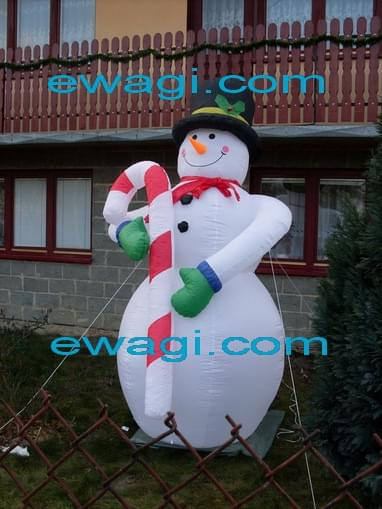 www.ewagi.com