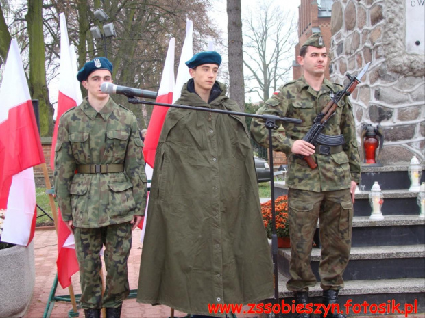 Powiatowe Obchody 95 rocznicy Odzyskania przez Polskę Niepodległości #Sobieszyn #Brzozowa