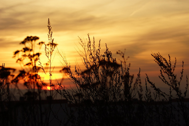Kielce