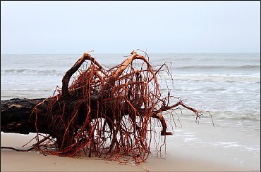 Och Ksawery ! #Dźwirzyno #HuraganKsawery #plaża