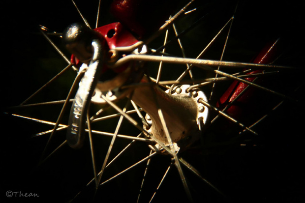 Rowerowo ... #koło #rower #szprychy #Bike #rama #opona