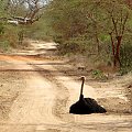 Senegal