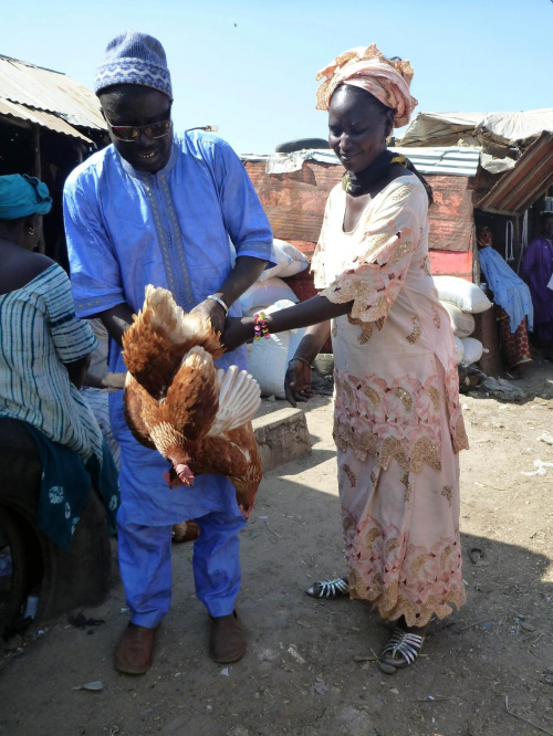 Senegal