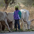 Senegal