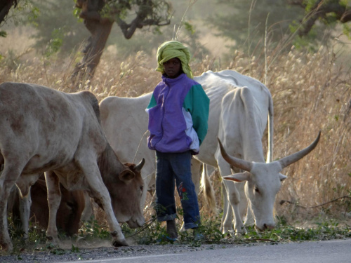 Senegal