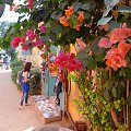 Senegal