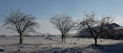 świętokrzyskie