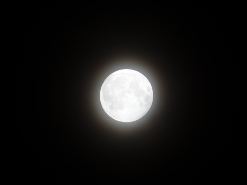 Księżycowe halo #halo #księżyc