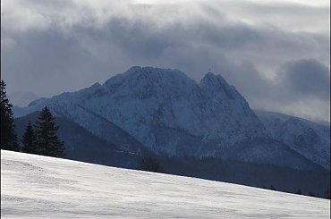 #góry #podróże #sznaucer #Zakopane #zima