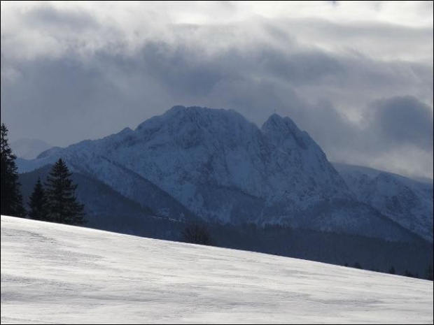 #góry #podróże #sznaucer #Zakopane #zima