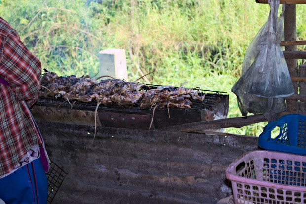 Pyszne chrupiące szczury prosto z grilla #szczur #gryzoń #tajladia #grill