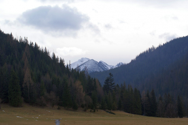 Tatry