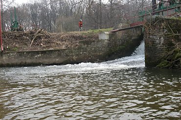 Eletrownia wodna na rzece Wieprz w Michalowie, rzeka poniżej jazu #Michalów #ElektrowniaWodna #Wieprz
