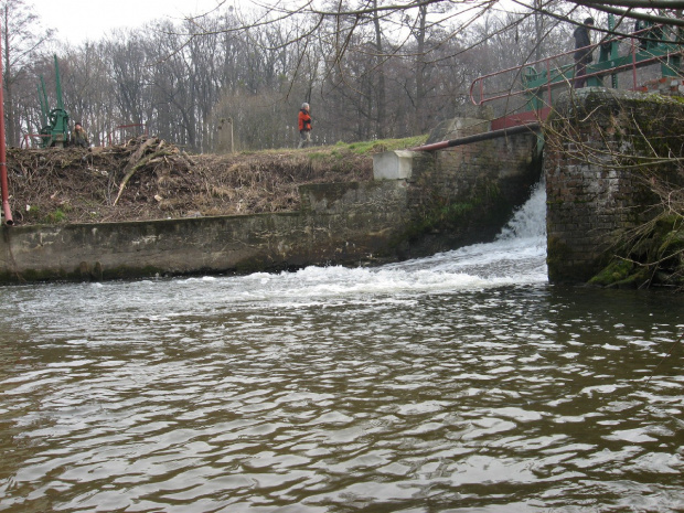 Eletrownia wodna na rzece Wieprz w Michalowie, rzeka poniżej jazu #Michalów #ElektrowniaWodna #Wieprz