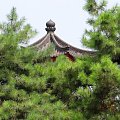 Xian - Pagoda Dzikiej Gęsi. #Chiny