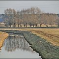 Wycieczka rowerowa nad Obrę na Talarach :)