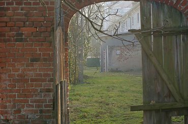 Pałac, Moszna, konie, inne, #inne #konie #Moszna