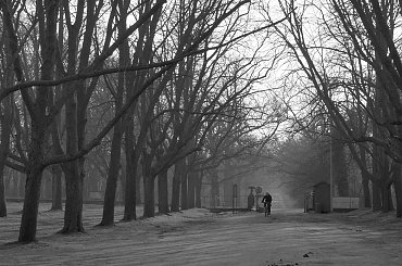 Pałac, Moszna, konie, inne, #inne #konie #Moszna