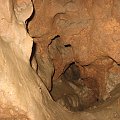Jaskinia krasowa koło Krakowa, rzeźba wnętrza #jaskinia #kras