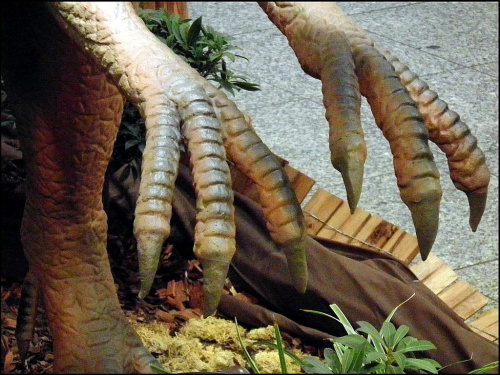 Z wystawy dinozaurów w Galerii Krakowskiej...pokazał pazurki...