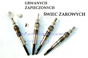 #Lubelskie #Lubelskim #Lublin #Lublinie #Łukowie #Łuków #Mazowieckie #Mazowieckim #RadzyniuPodlaskim #RadzyńPodlaski #Siedlcach #Siedlce #StoczekŁukowski #StoczkuŁukowskim #Warszawa #Warszawie