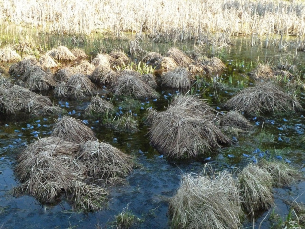 niebieskie widoczki :)
