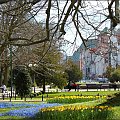 Wiosenny spacer po kołobrzeskim parku #Kołobrzeg #Park18Marca #Wiosna