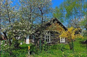 wiosna jest zielono-żółta #wiosna #architektura #wies