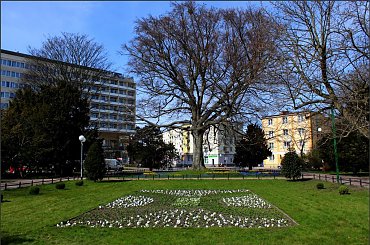 ... #Kołobrzeg #Park18Marca