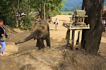 Zabawy z maluchem #azja #słoń #tajlandia