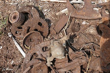 Poszukiwanie Goliata #goliath #rygielpisz