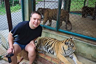 Z wizyta u tygrysów #azja #tajlandia #tygrys #tygrysy