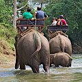 #azja #tajlandia #rzeka #tropik #dżungla