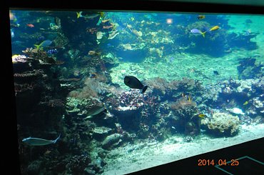 Boulogne - Francja #Berk #Boulogne #francja