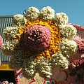 sławna Parada Kwiatów
