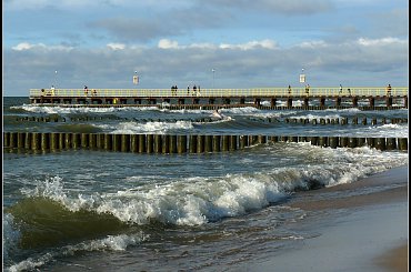 morze,woda,mewa #mewa #piasek #woda