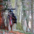 #rower #park #drzewa