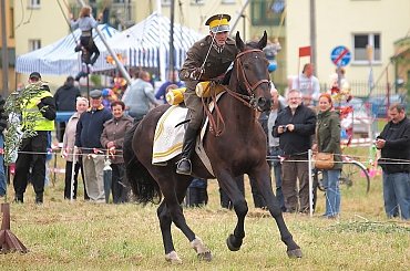 XIV Piknik Kawaleryjski w Suwałkach, 14-15.VI.2014 #kawaleria #konie #koń #PiknikKawaleryjski #Suwałki #ułani