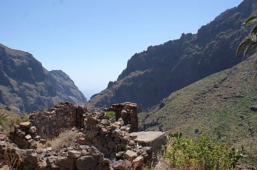 Wulkaniczna wyspa na Atlantyku, pełna kwiatów i zieleni. #Atlantic #Atlantyk #island #ocean #Teneriffe #Teneryfa #volcano #wulkan #wyspa